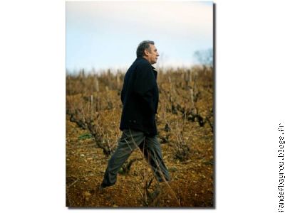 Une marche dans les vignes du Beaujolais